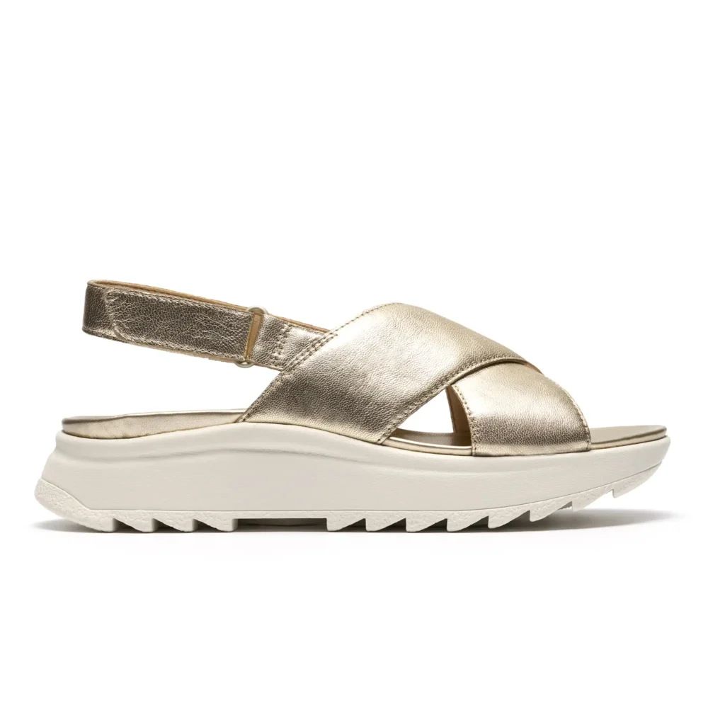 DashLite Wish Gold Leather