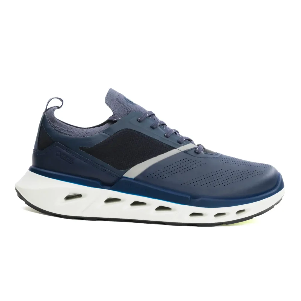Ecco Biom 720 M Ombre